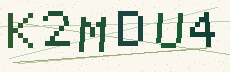 Six-character verification code. Type the characters shown.
